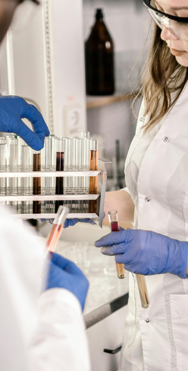 nerve pain supplement